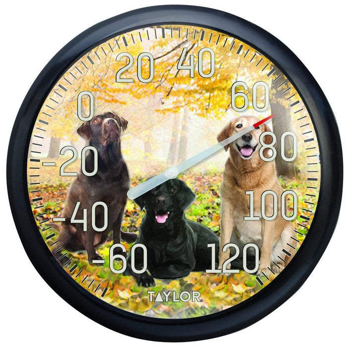13.25 inch Labrador Dial Thermometer featuring three Labradors against an autumn forest background.