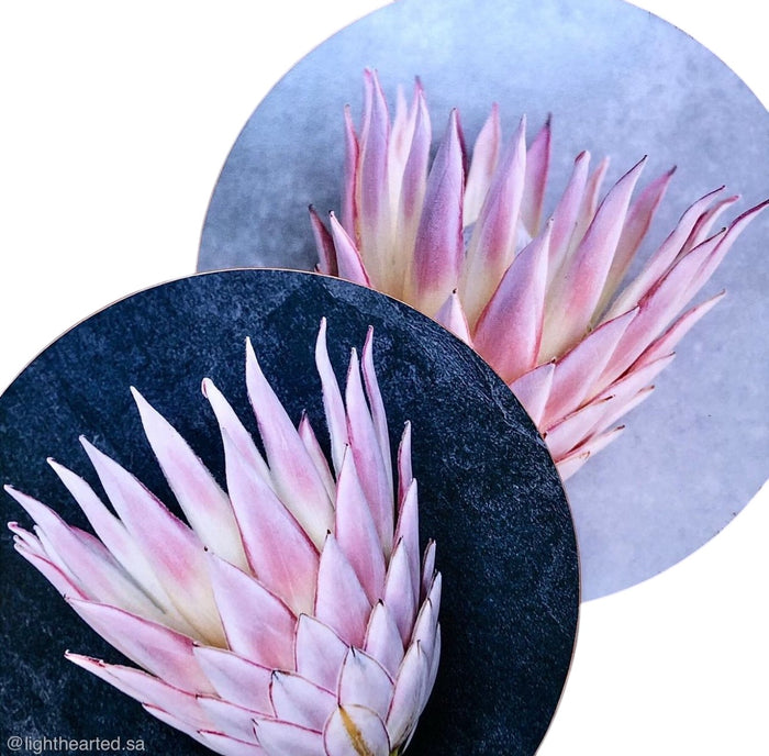 Aria Protea Pot Stand