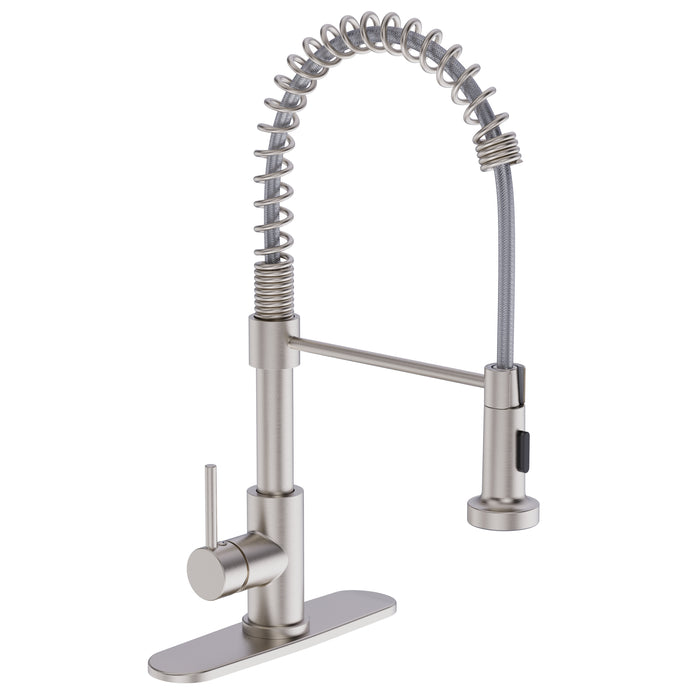 Kitchen Faucet Coiled Sprayer Brushed Nickel