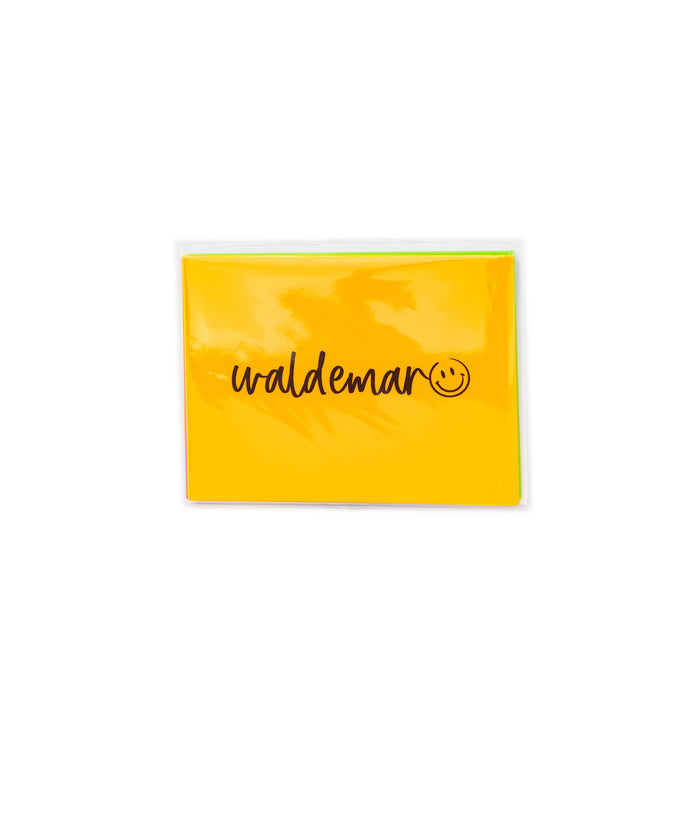 A Wink and a Nod Folded Neon Notecards Pack of 8 Distressed/seasonal accessories A Wink and a Nod Multi Camp Waldemar