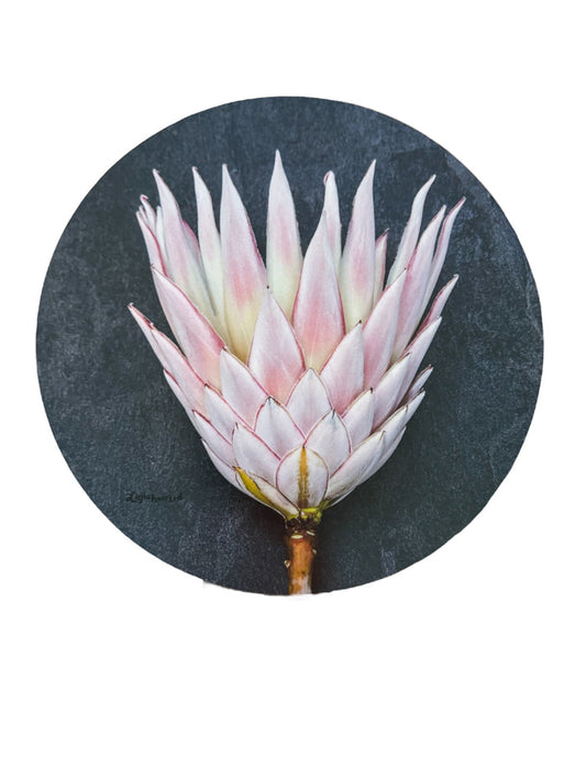 Aria Protea Pot Stand