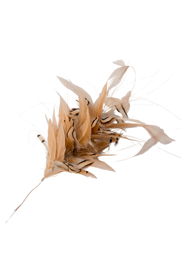 Beige Flower Feathers Bunch - FINAL SALE