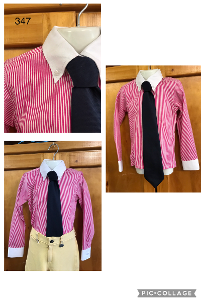 CLEARANCE Hot Pink & White Striped Childs Tie Shirts Size 3 Only (347)