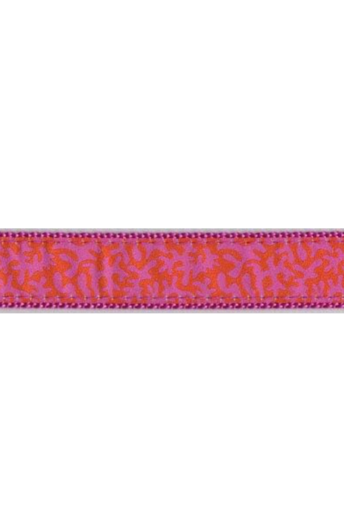Coral Crush Dog Collar