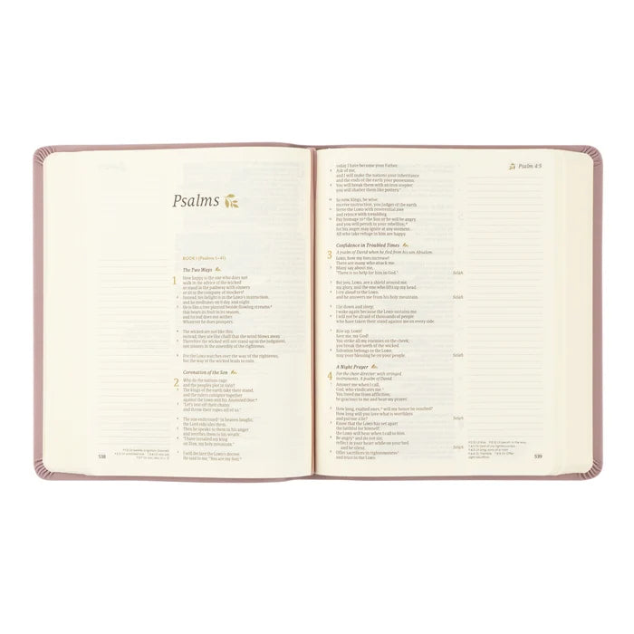 CSB Notetaking Bible: Mauves Theme