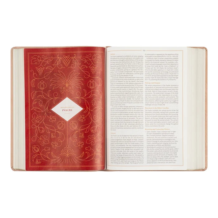 CSB Women's Study Bible: Sonora Theme