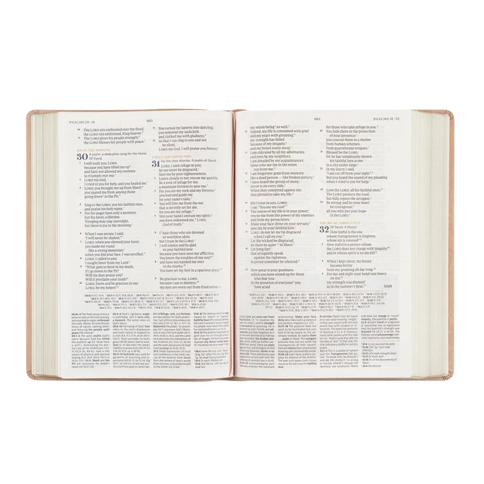 CSB Women's Study Bible: Sonora Theme