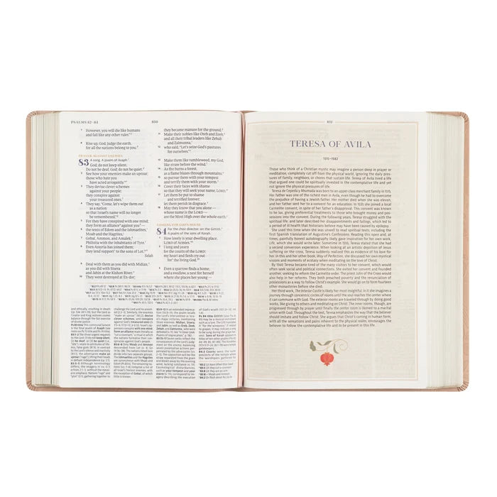 CSB Women's Study Bible: Sonora Theme