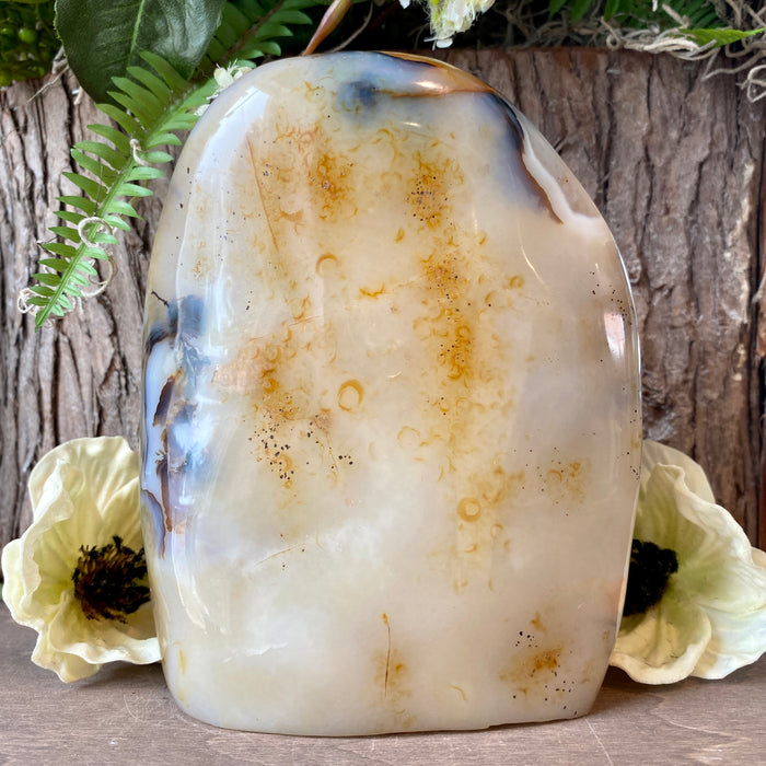 Dendritic Agate Free Form