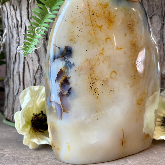 Dendritic Agate Free Form