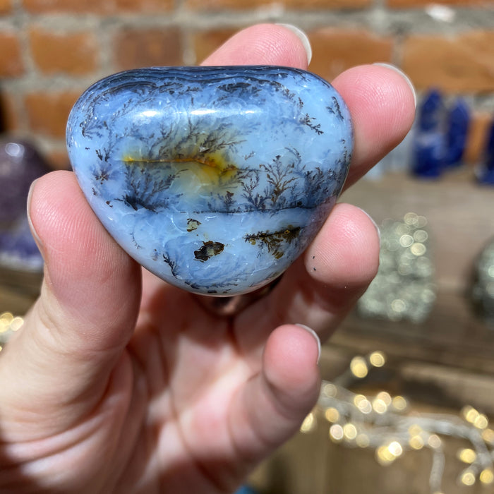 Dendritic Agate Palm Stone