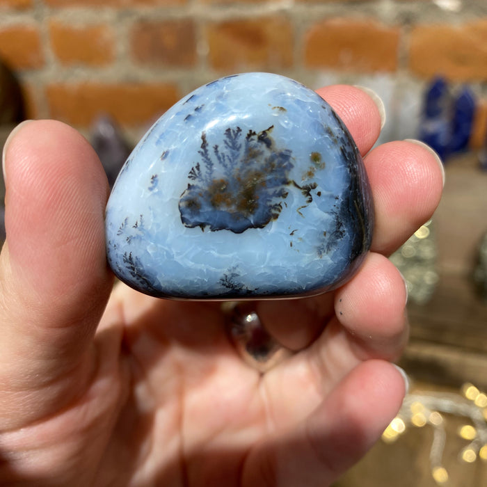 Dendritic Agate Palm Stone