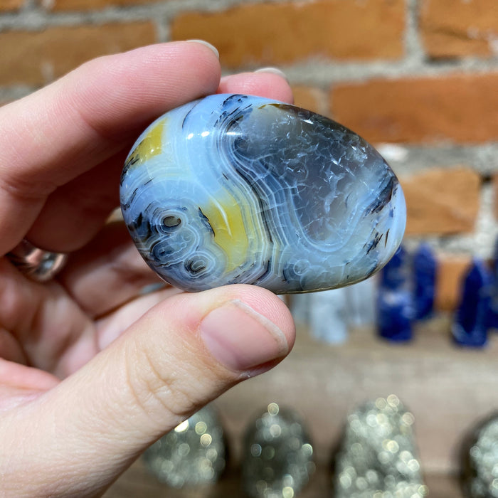 Dendritic Agate Palm Stone