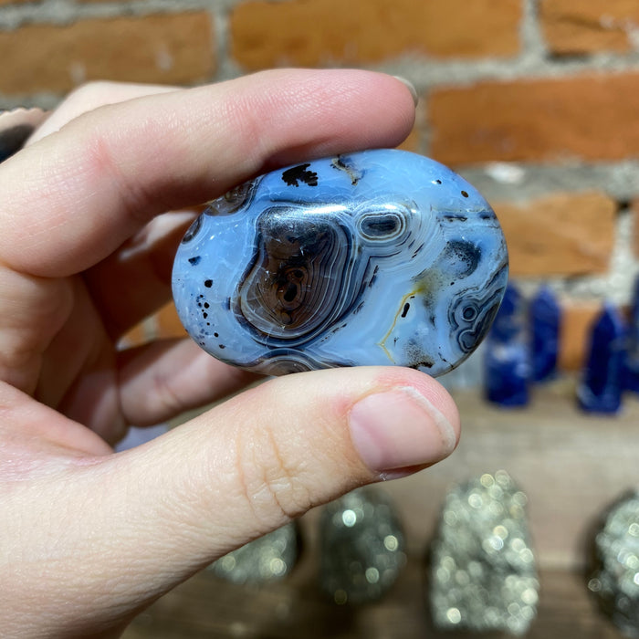 Dendritic Agate Palm Stone
