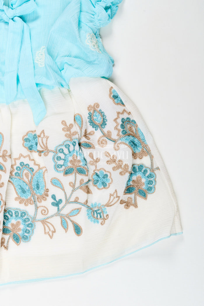 The Nesavu Embroidered frock for toddler girls for birthday and photo day Nesavu Nesavu toddler girl frock embroidery birthdays special occasions