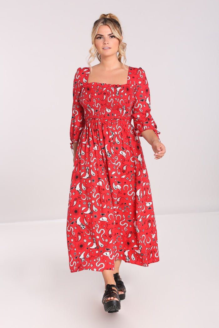 Emmylou Maxi Dress