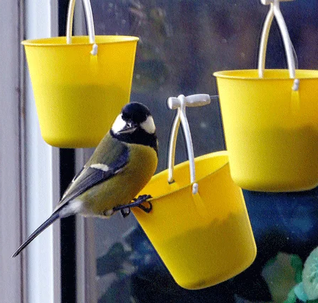 Ferris wheel bird feeder