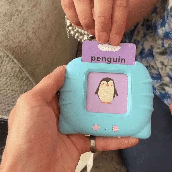 Flash Cards - Fun Learning For Your Kids