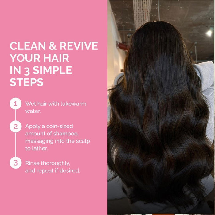 FUL Purifying Charcoal Shampoo 250ml – Clarifying Detox for Oily Scalp & Buildup | Deep Cleanser for Greasy Hair - The LTL Shop