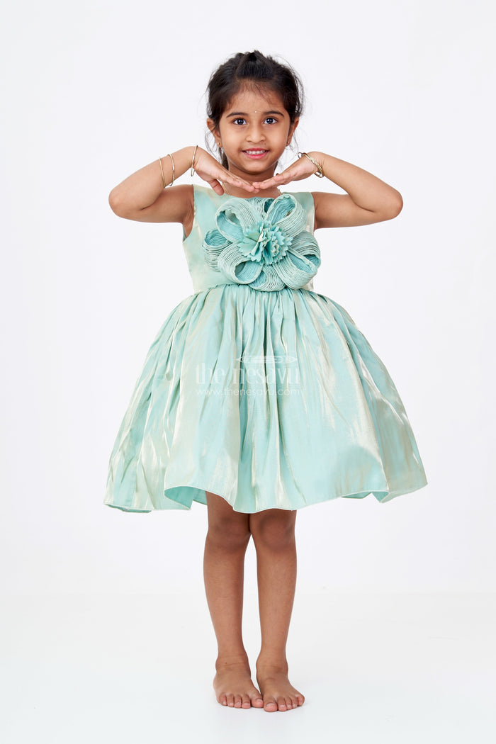 The Nesavu Girls Fancy Party Frock Girls Shiny Party Dress in Glazed Organza with Oversized Floral Appliqué and Elegant Flared Silhouette Nesavu 16 (1Y) / Green PF212B-16 Nesavu Girls Shiny Party Dress Glazed Organza Floral Appliqu Flared Silhouette