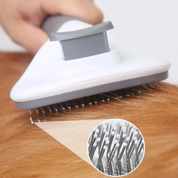 Grooming tools - Massage for pets
