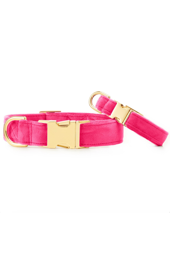 Hot Pink Velvet Dog Collar