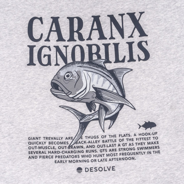 Ignobilis Hoodie