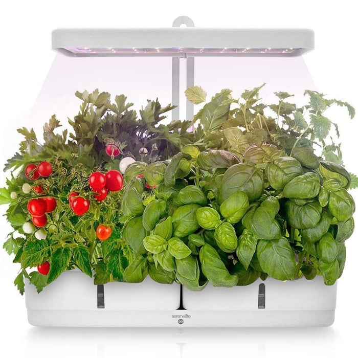 Indoor Hydroponic Garden