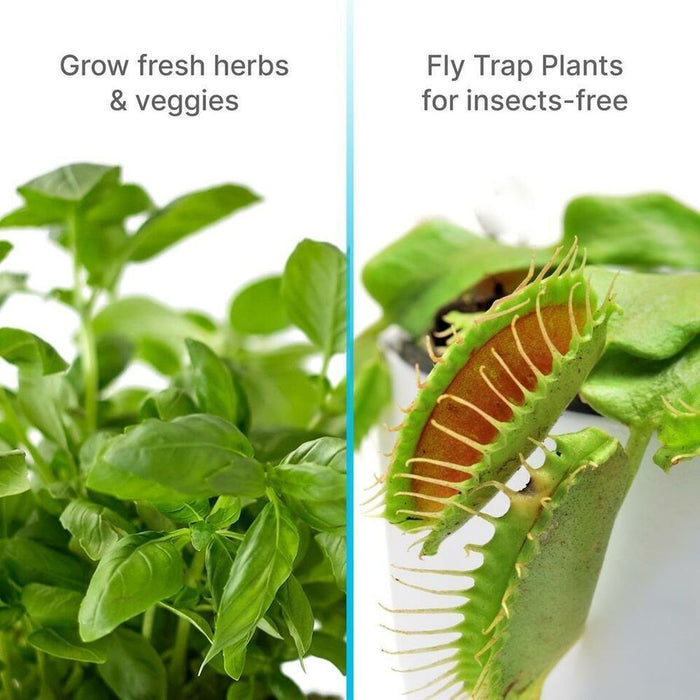 Indoor Hydroponic Garden