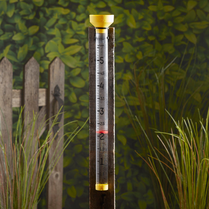 Jumbo 5 inch rain gauge mounted on a weathered wooden post with a yellow top in a garden.