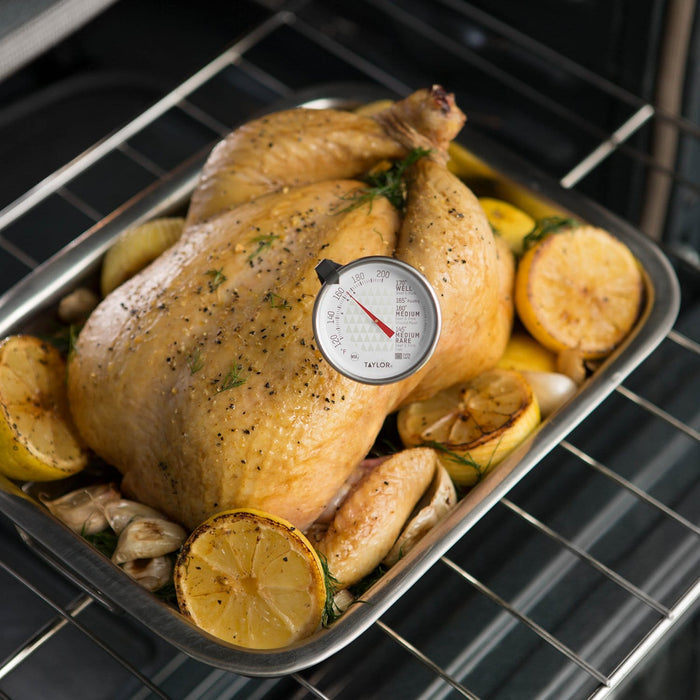 Roasted whole chicken in a baking pan with lemon slices and dill, leave in meat thermometer inserted into the bird