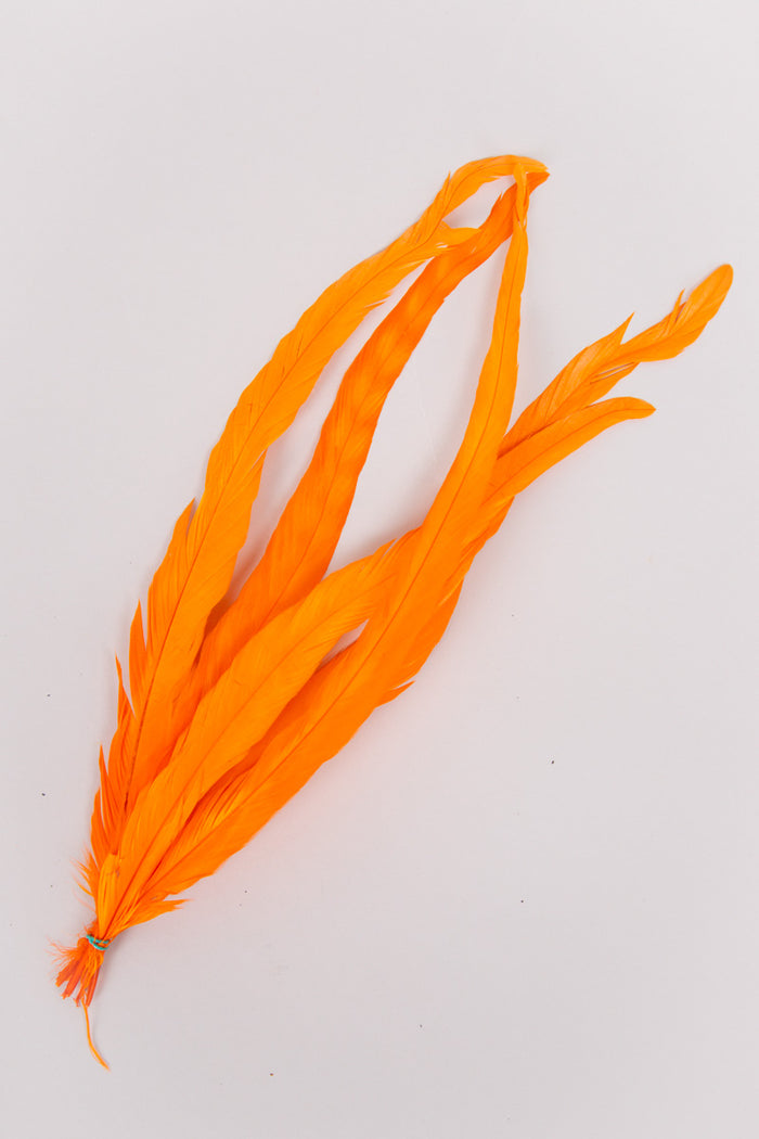 Long Rooster Feathers Bundle of 5 - Green Rubber Band - FINAL SALE