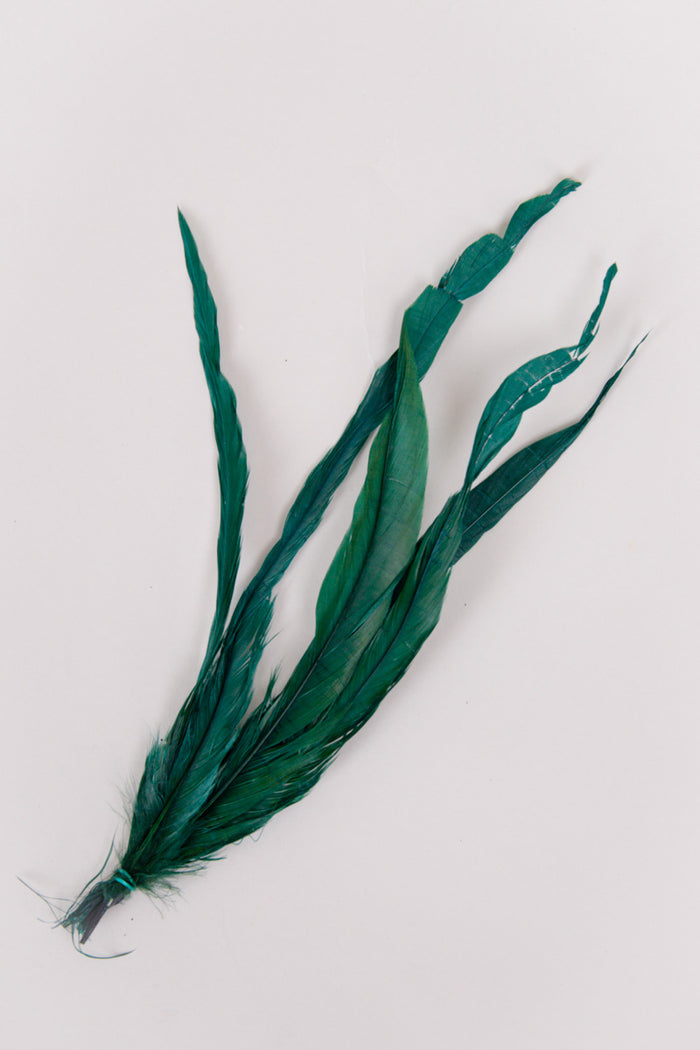 Long Rooster Feathers Bundle of 5 - Green Rubber Band - FINAL SALE