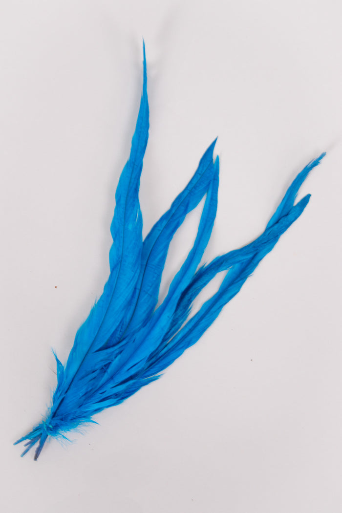 Long Rooster Feathers Bundle of 5 - Green Rubber Band - FINAL SALE