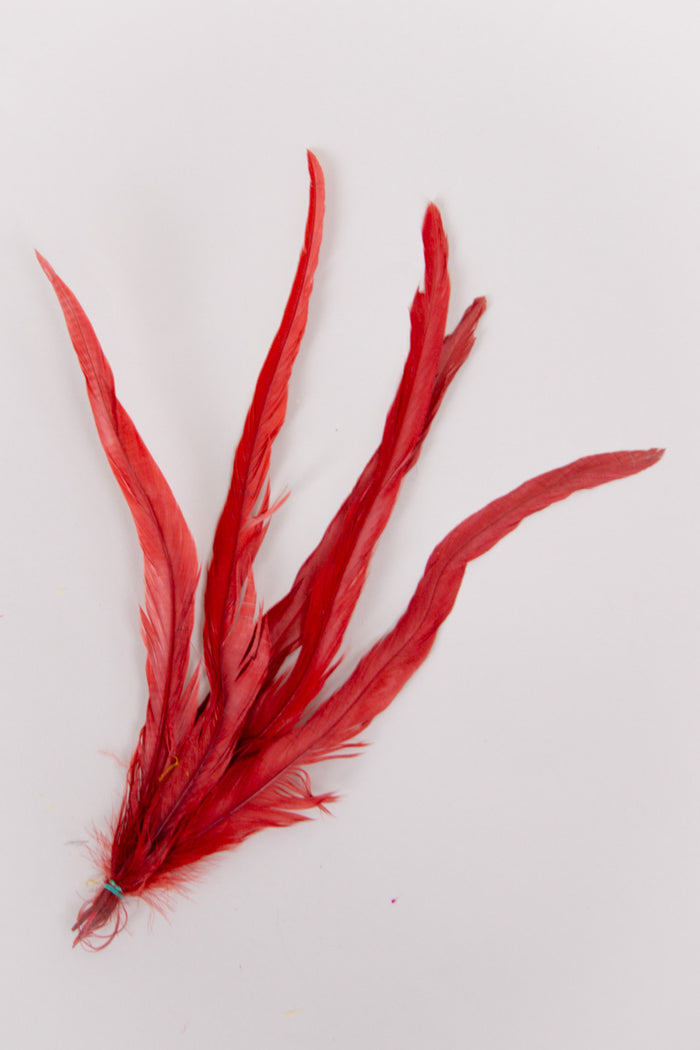 Long Rooster Feathers Bundle of 5 - Green Rubber Band - FINAL SALE