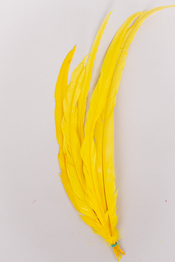 Long Rooster Feathers Bundle of 5 - Green Rubber Band - FINAL SALE