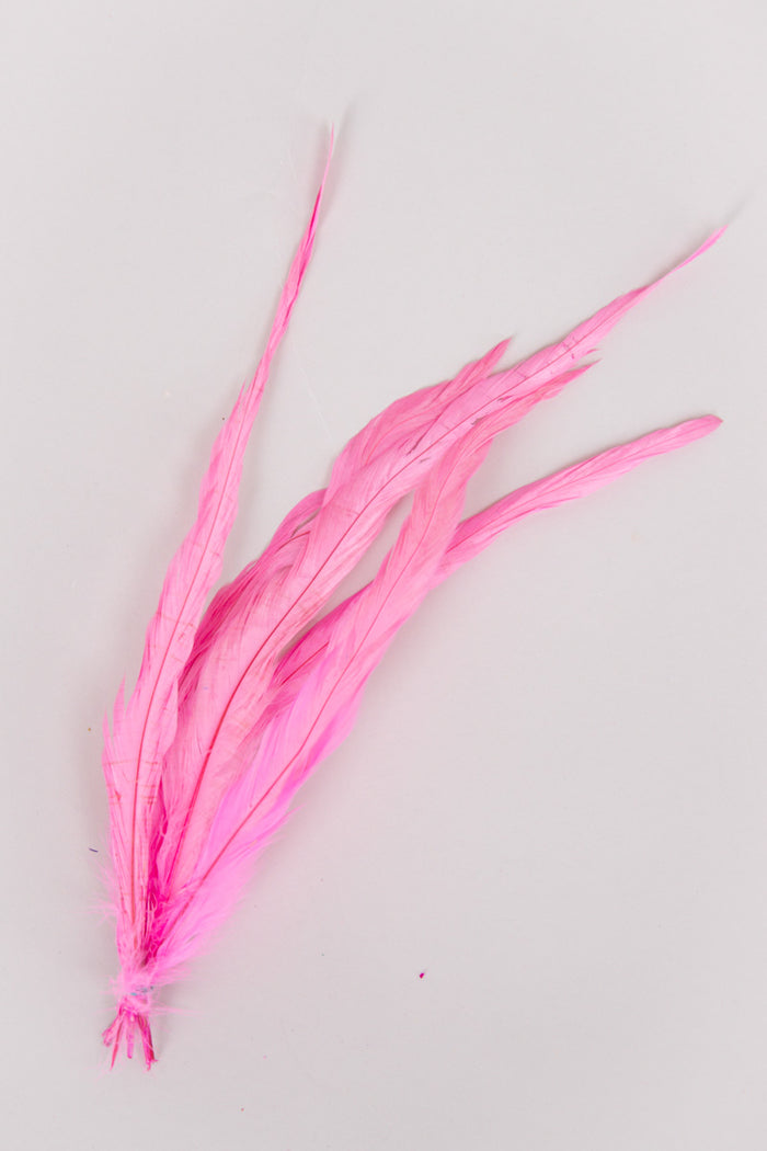 Long Rooster Feathers Bundle of 5 - Green Rubber Band - FINAL SALE