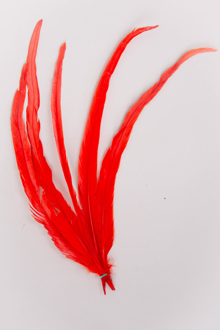 Long Rooster Feathers Bundle of 5 - Green Rubber Band - FINAL SALE
