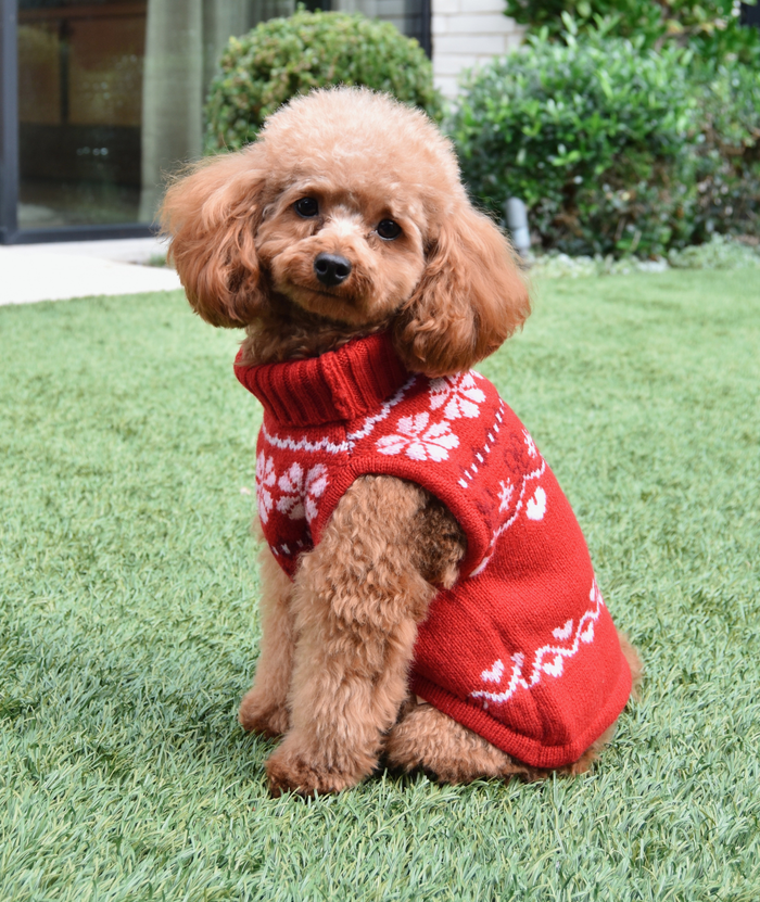 Love Shack Fancy Women Arindia Dog Sweater Red Velvet Truffle Distressed/seasonal gifts Love Shack Fancy Red Dog/S