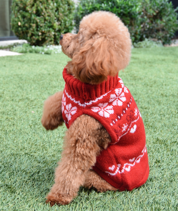 Love Shack Fancy Women Arindia Dog Sweater Red Velvet Truffle Distressed/seasonal gifts Love Shack Fancy