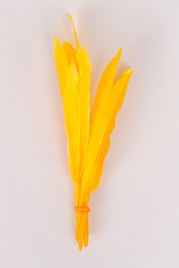 Mini Goose Feathers Bundle of 6- Orange Rubber Band - FINAL SALE