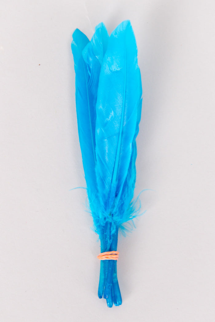teal blue