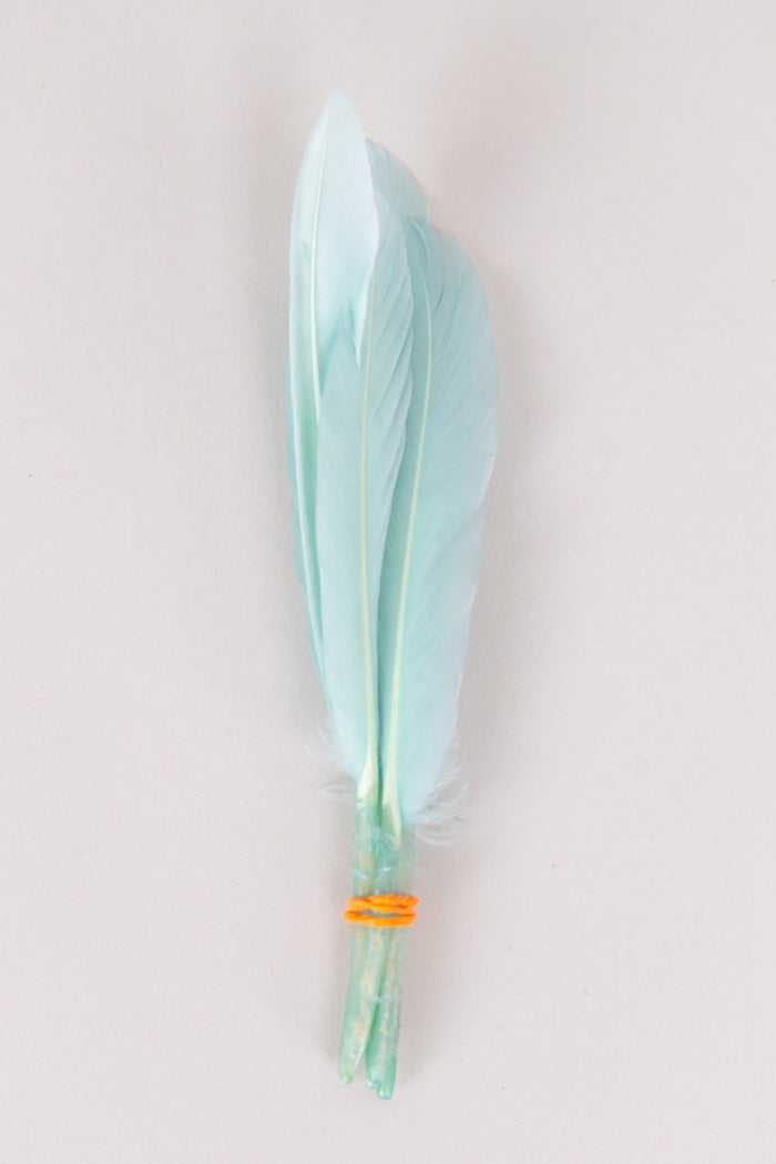 Mini Goose Feathers Bundle of 6- Orange Rubber Band - FINAL SALE