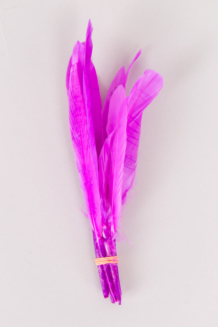 Mini Goose Feathers Bundle of 6- Orange Rubber Band - FINAL SALE