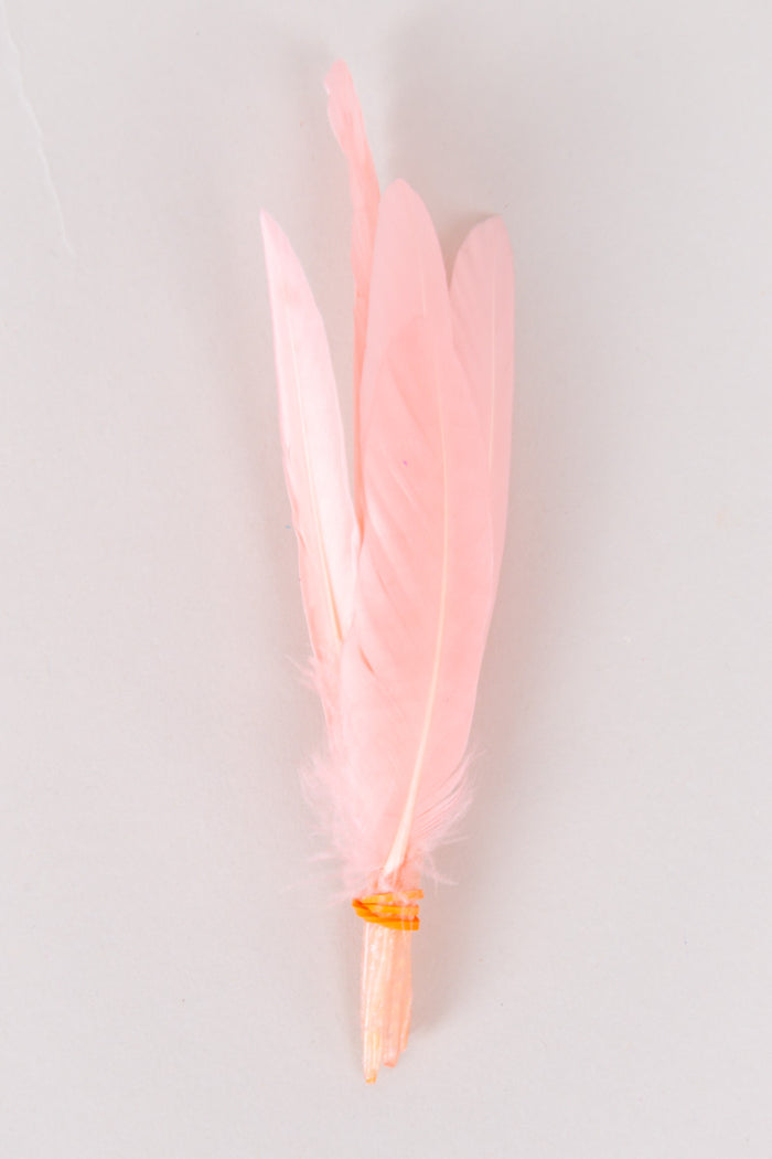Mini Goose Feathers Bundle of 6- Orange Rubber Band - FINAL SALE