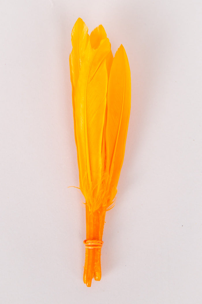 Mini Goose Feathers Bundle of 6- Orange Rubber Band - FINAL SALE
