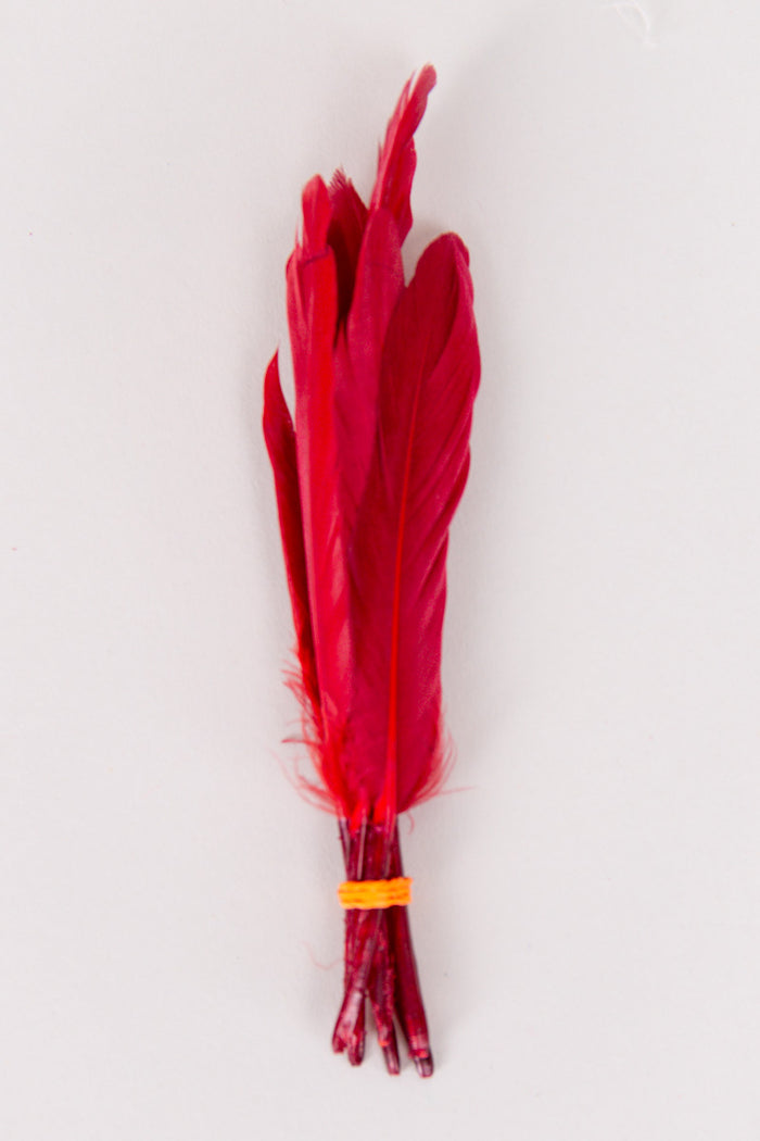 Mini Goose Feathers Bundle of 6- Orange Rubber Band - FINAL SALE