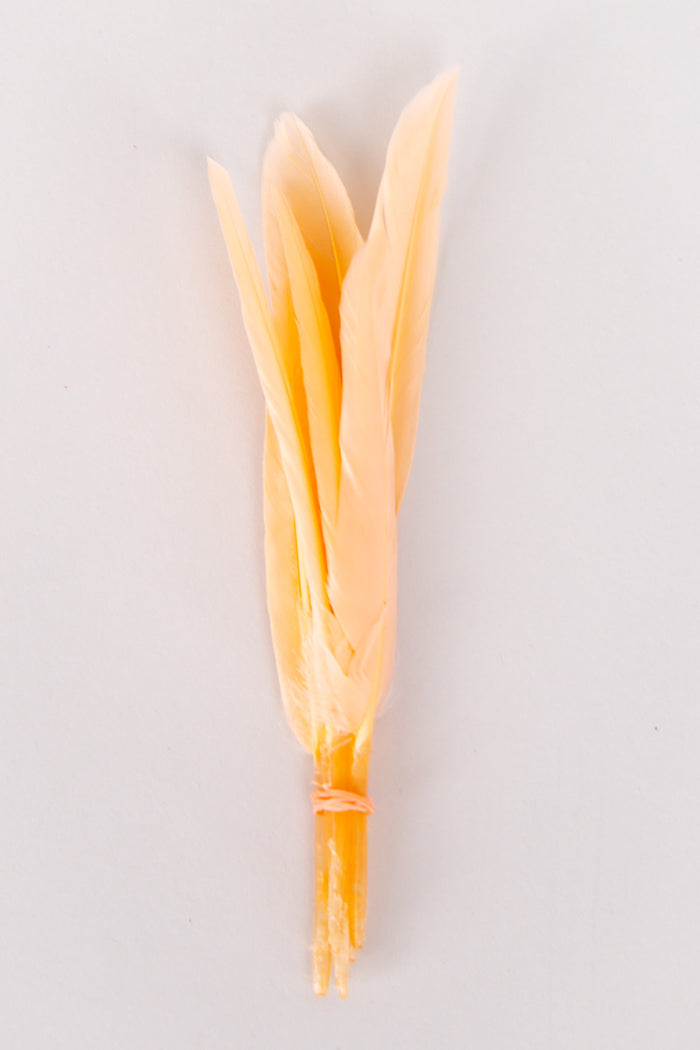 Mini Goose Feathers Bundle of 6- Orange Rubber Band - FINAL SALE