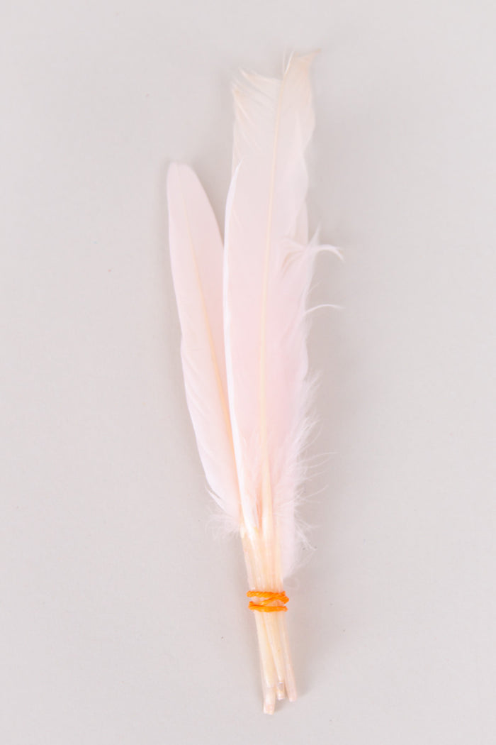 Mini Goose Feathers Bundle of 6- Orange Rubber Band - FINAL SALE