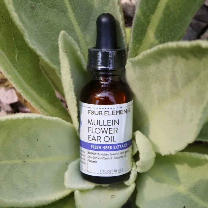 Mullein Flower Ear Oil - 1 oz